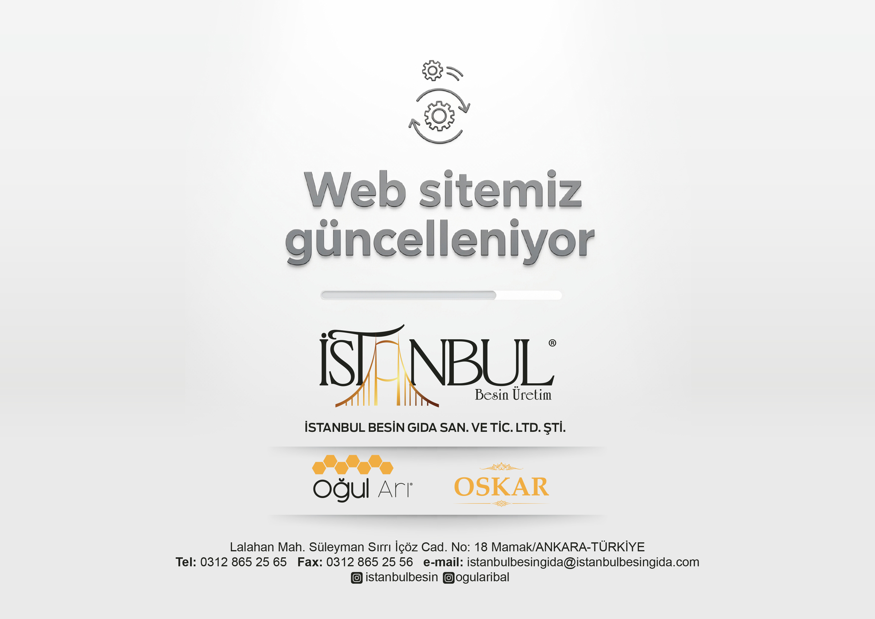 Web Sitemiz Güncelleniyor